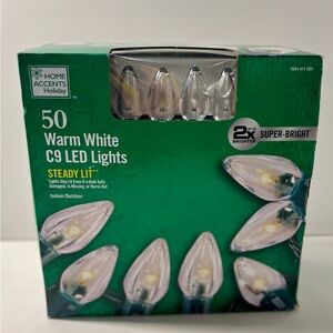 Home Accents Holiday C9 LED Lights